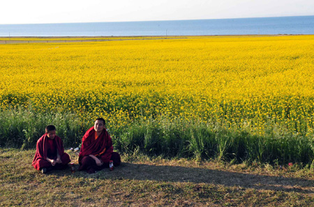 Mirror-like Qinghai Lake attracts thousands of tourists