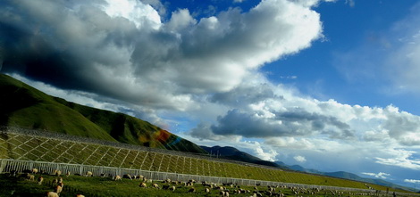 90% of China's grasslands deteriorated