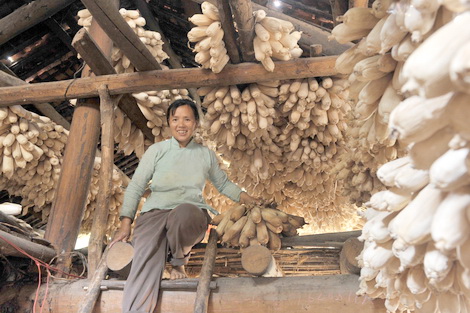 Govt to let regions establish their own poverty standards