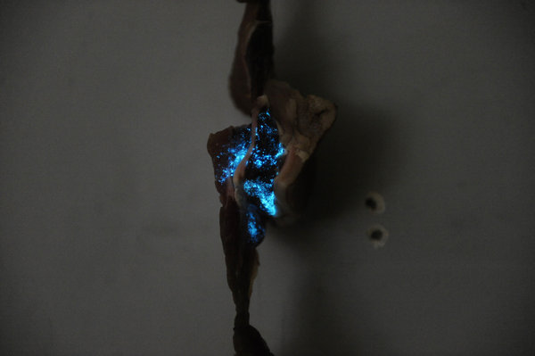 Pork emits creepy blue light