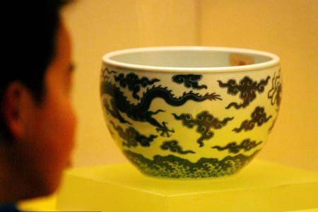 Where to see dragons?