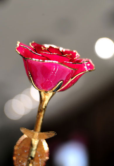 A rose that never dies