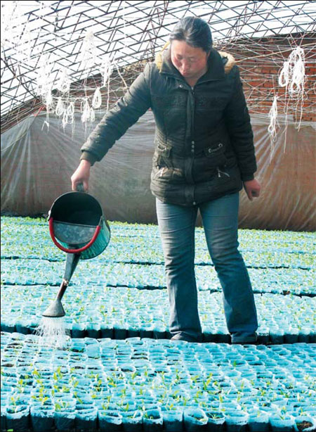 Farm workforce withers as young people leave