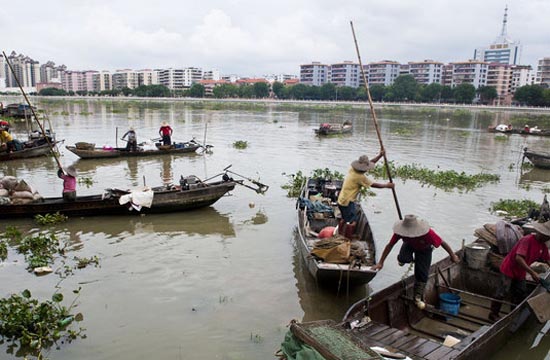 Freshwater snail sales hot for Guangdong fishermen