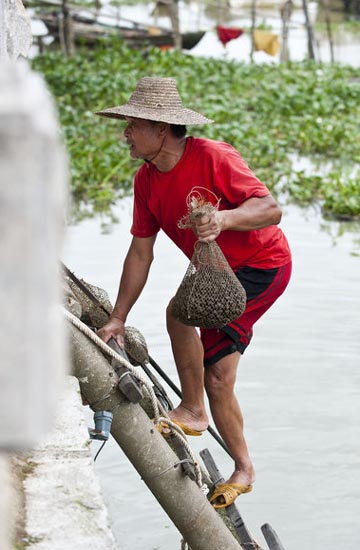 Freshwater snail sales hot for Guangdong fishermen
