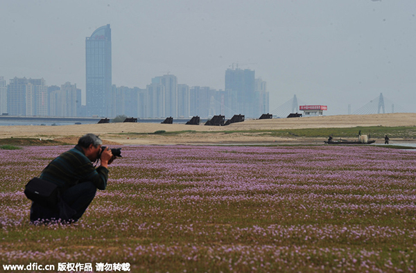 Top 11 provincial-level regions with ambitious growth targets