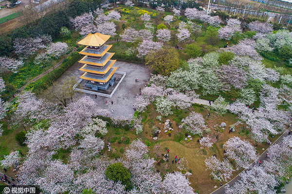 Top 10 most popular cities during Qingming holiday