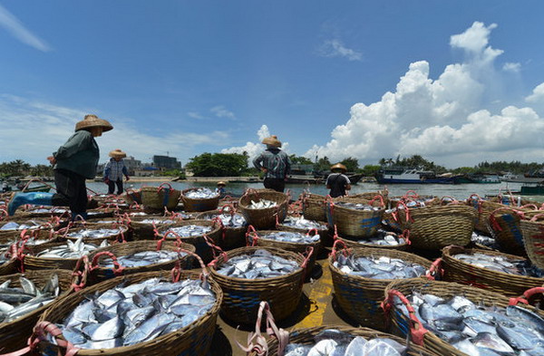 Fishing ban starts in South China Sea