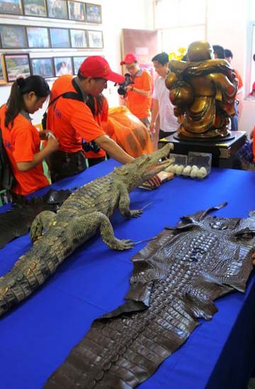 Farmer raises 6000 crocs