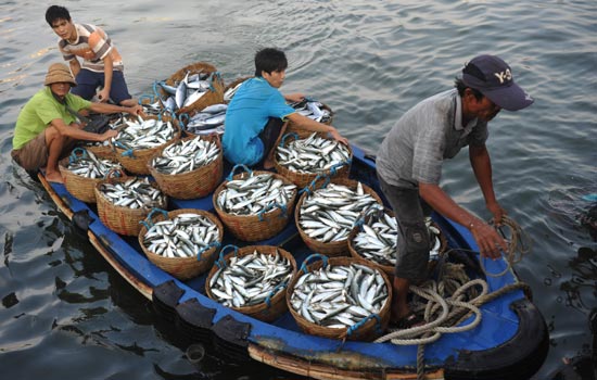 Fishing ban lifted over South China Sea