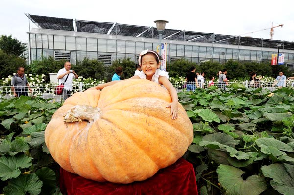 Giant pumpkin takes center stage at intl food fair