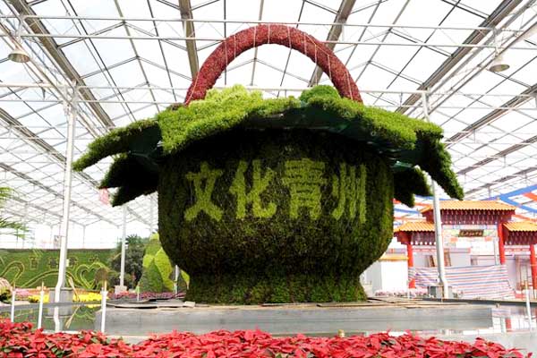 Feast eyes on flowers at Qingzhou trade fair