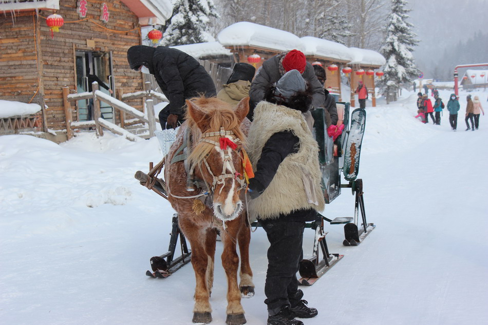 Snow tourism flourishes in China's Snow Town