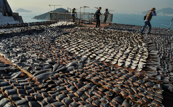 Shark fins on factory roof fan outrage