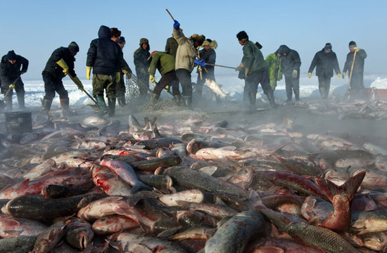 Winter fishing kicks off in Heilongjiang