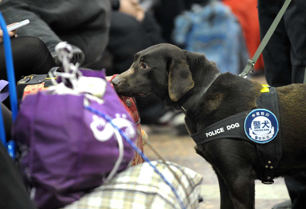 Police dog on duty during travel rush