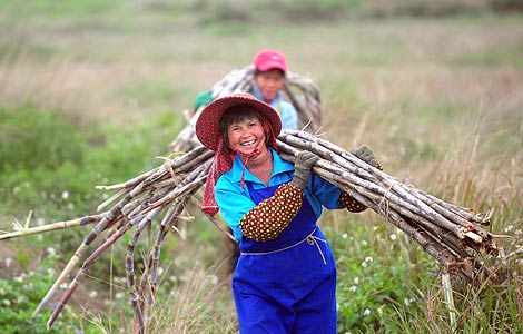 China extends more loans to support agriculture