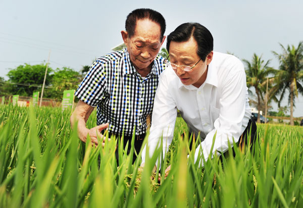Super rice keeps China's supply self-sufficient