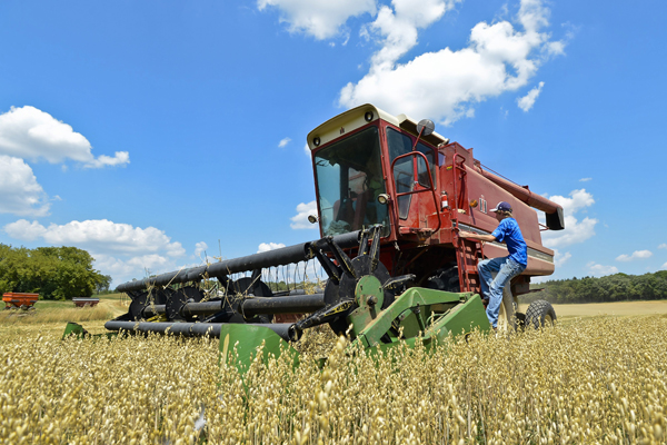 Chinese pesticide firms aim to grow US market share