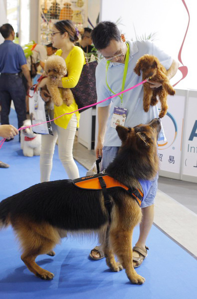 Animal lovers dote on furry families at fair