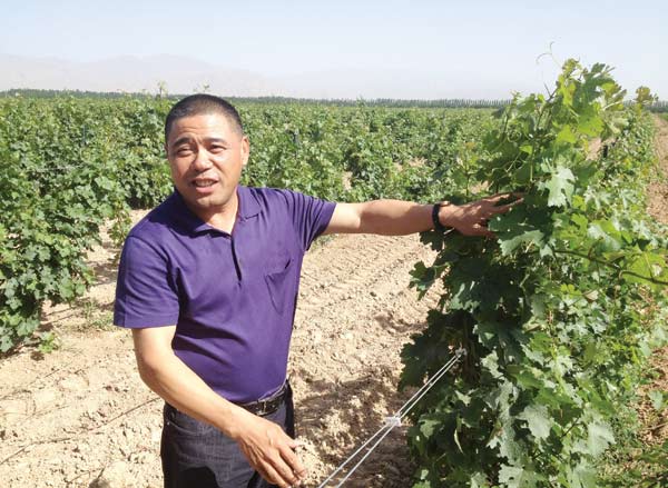 Yinchuan, destined to be China's wine capital