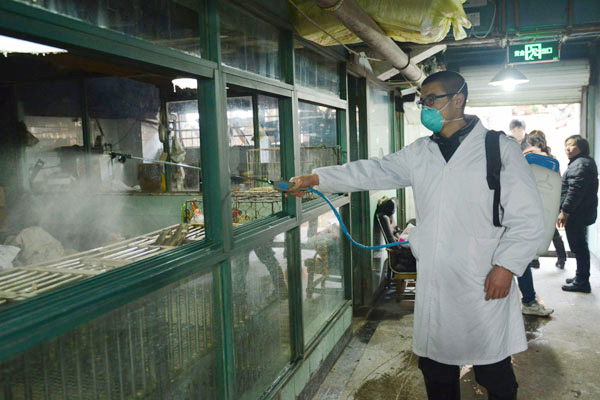 Hangzhou closes live poultry markets to combat bird flu