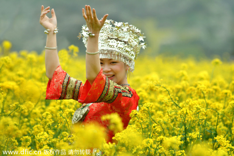 Top 10 canola flower attractions in China