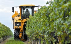 China terminates investigation of EU wine imports