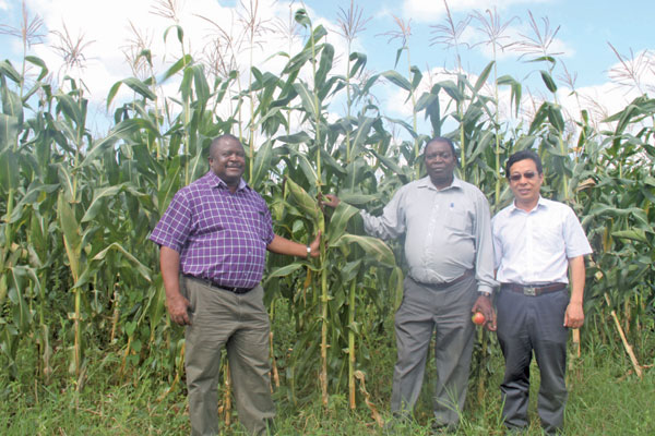 Fields of dreams bring hope of farming success