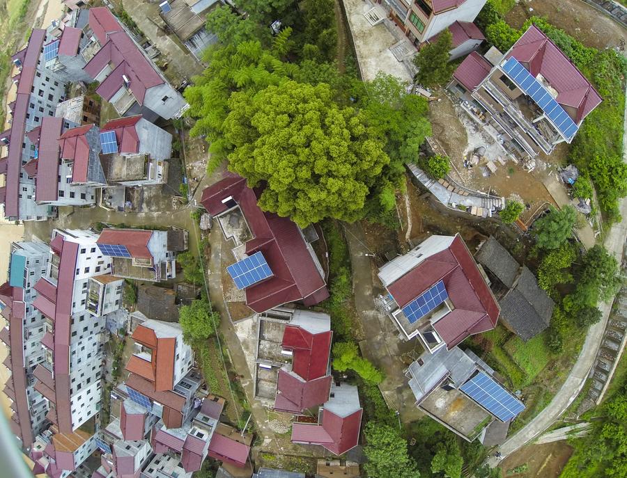 Homemade PV power station in Zhejiang