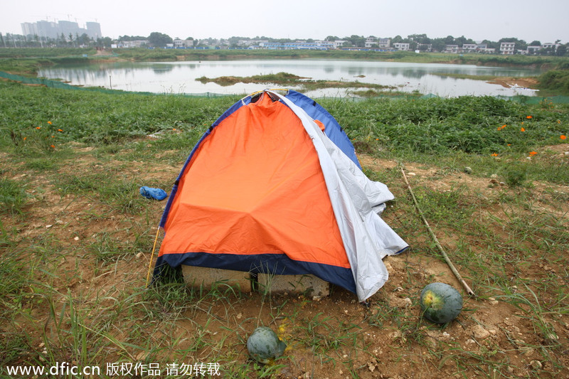 World's 'tallest' tower a watermelon field