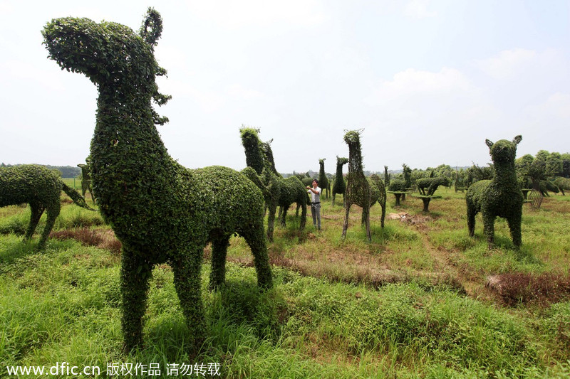 Animal-shaped trees a cash cow for farmers