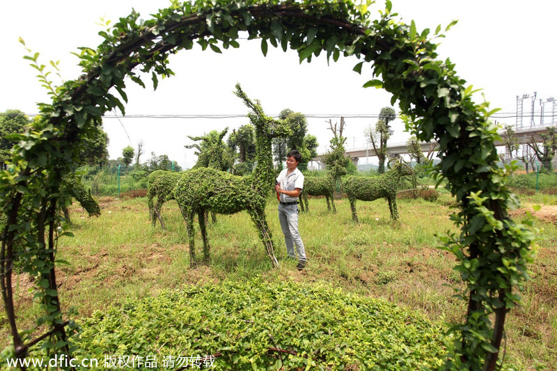 Animal-shaped trees a cash cow for farmers
