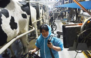 Feihe, Harbin vocational college team up to train dairy staff