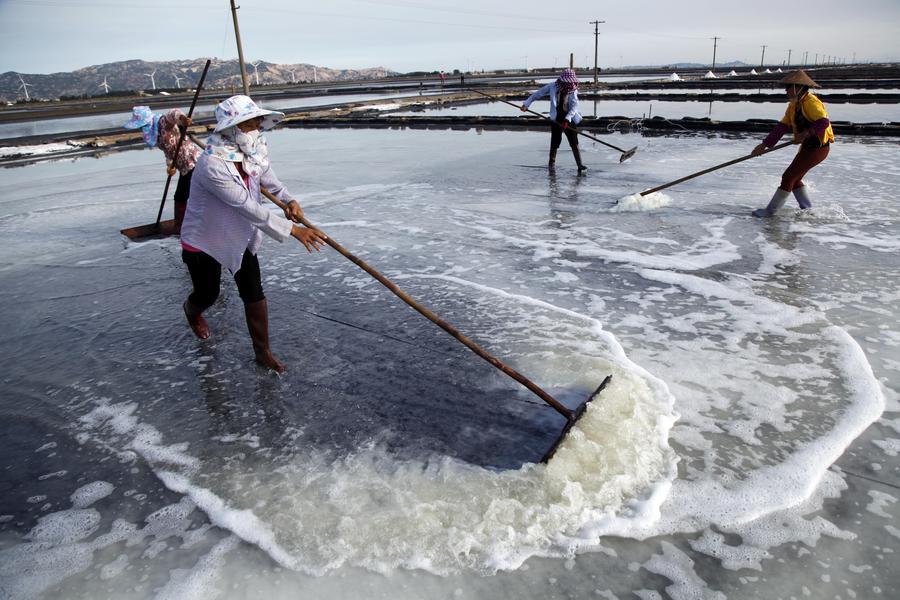 Flavor to the people: salt production in Fujian
