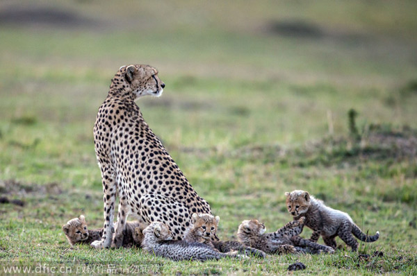 Kenya, China set to sign MOU on tourism