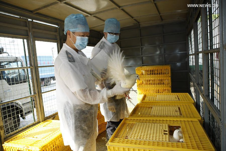 HK resumes imports of live poultry from mainland