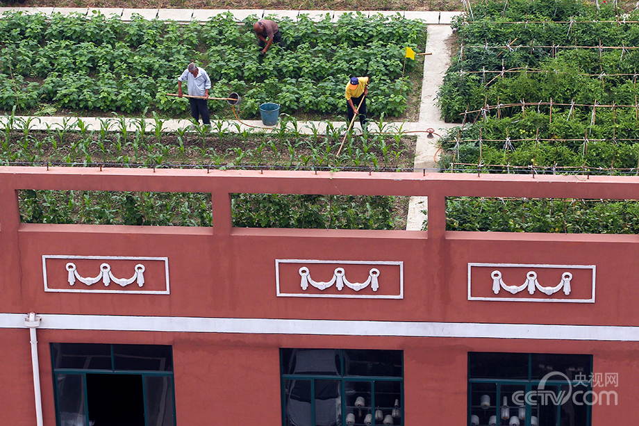 Urban farmers in China