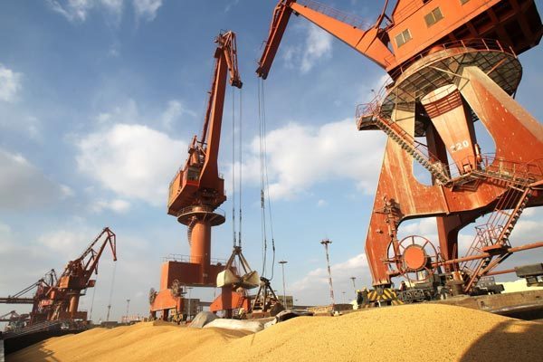 New technology likely to cut China's soybean import