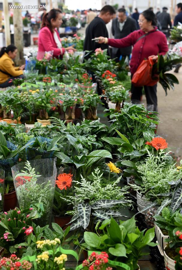 Flower business in Yunnan takes up 70% market in China