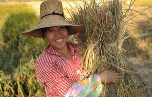 More than 40% of China's arable land degraded