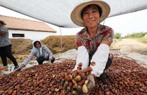 China's agriculture under challenges: official