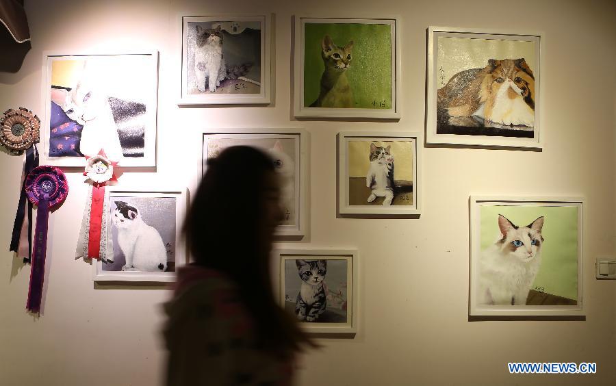 Cat-themed cafe in Northeast China's Liaoning province