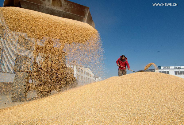 China to boost grain stockpiles