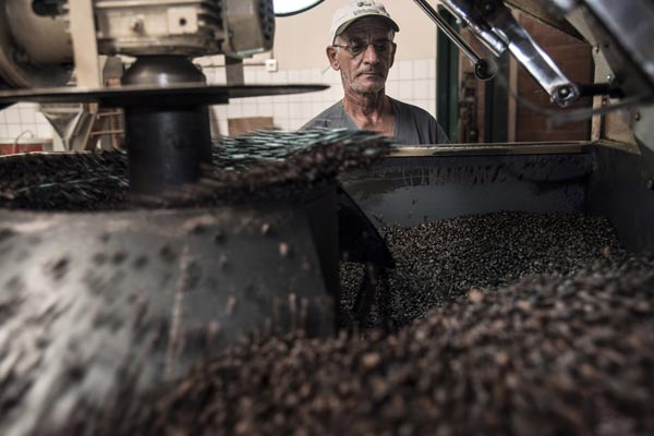 Coffee bulls return as drought hurts Brazil crop production