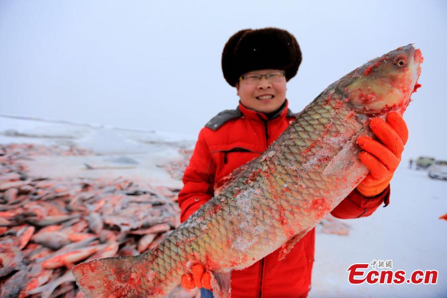 Xinjiang lake in bumper fishing season
