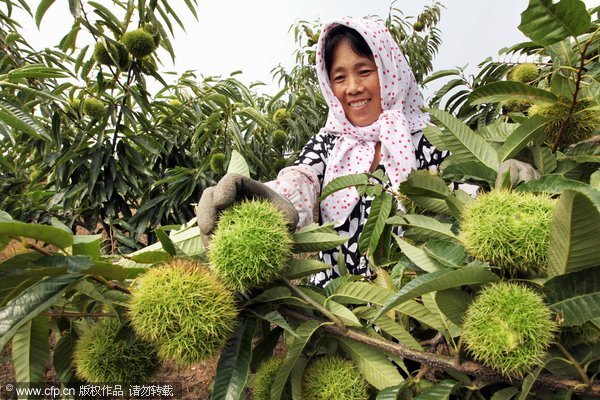 China to speed up agri modernization through reforms, innovations