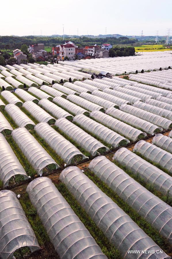 Zhejiang ranked 1st in farmers' disposable income in China