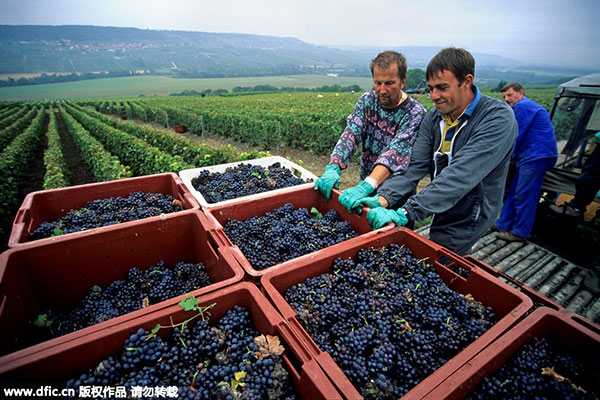 Chinese investors become second largest foreign players in French vineyards