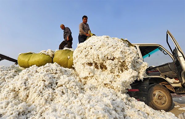 Nation to sell 1 million tons of cotton reserves